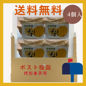 送料無料!干し梨4個詰合せ(低農薬・無化学肥料愛宕梨)