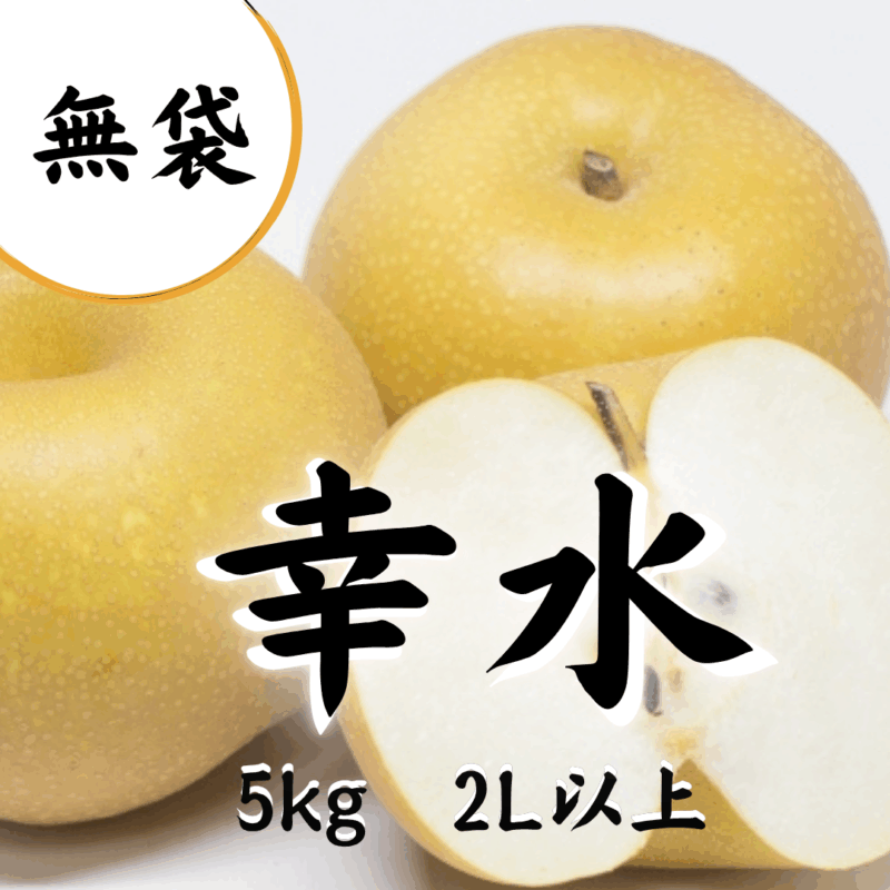 幸水2Lサイズ・5kg「犬飼さんがつくる無袋の梨」(送料込・代引不可)(出荷時期8/10～8/25頃)本州･四国・九州のみ